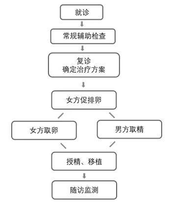 二代试管婴儿到底麻烦吗？深入解析整个流程