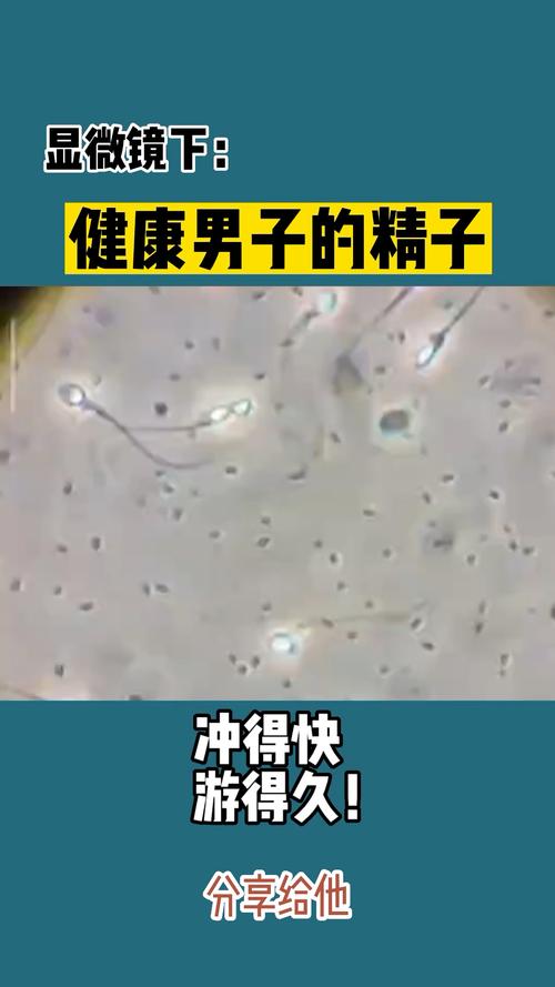  精子活力