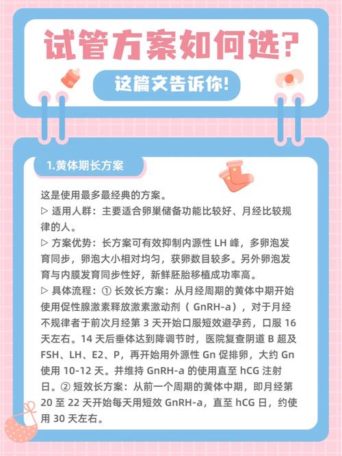 怀孕了该如何选择试管婴儿的最佳时机与方案？