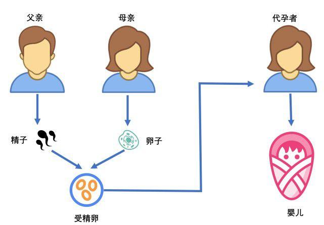  胚胎移植
【描述】：本文深入探讨了试管婴儿和代孕这两种现代生育技术，比较了它们的适用人群、成功率、费用和法律限制，帮助读者做出更明智的生育选择。