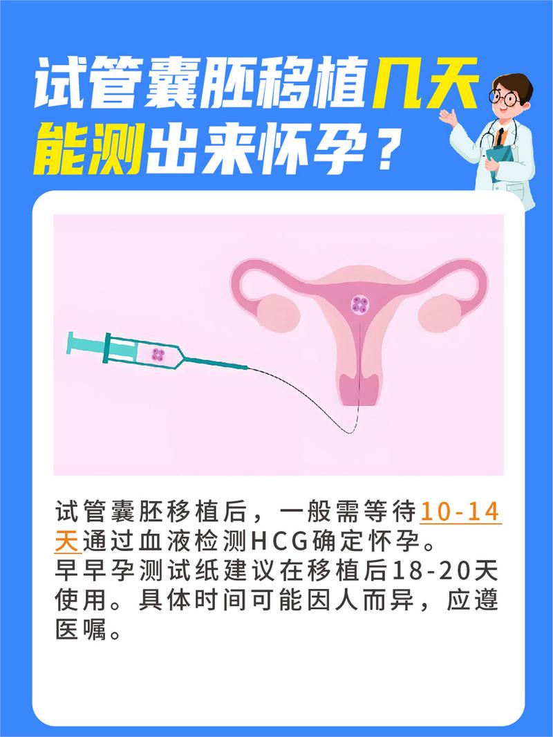 试管婴儿、养囊胚、生殖医疗