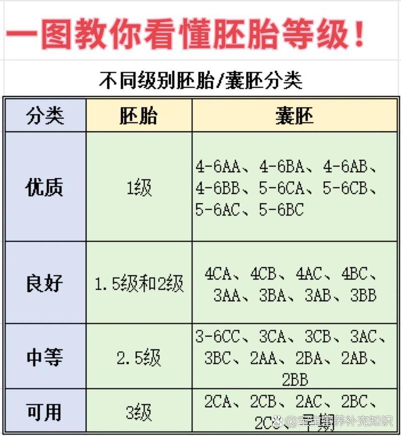 胚胎选择数量