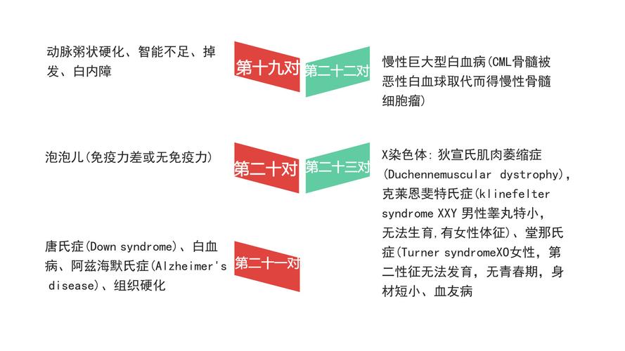 <PGS/PGD>