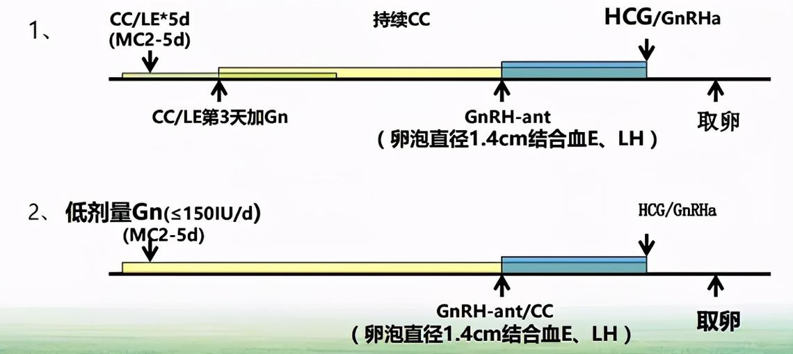 促排阶段