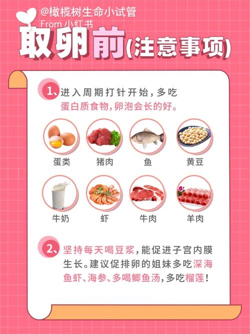 试管婴儿移植、医疗准备、心理准备、饮食调整