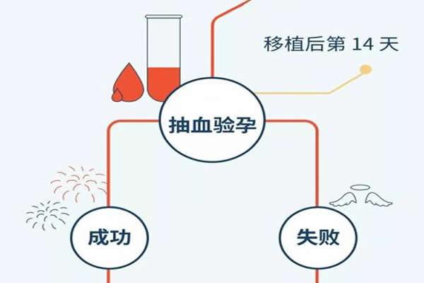 试管婴儿技术揭秘：女孩出生是否需要手术？