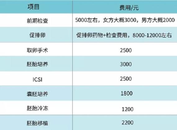 试管婴儿促排卵费用大揭秘：你需要准备多少资金？