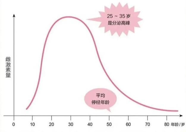  内分泌水平