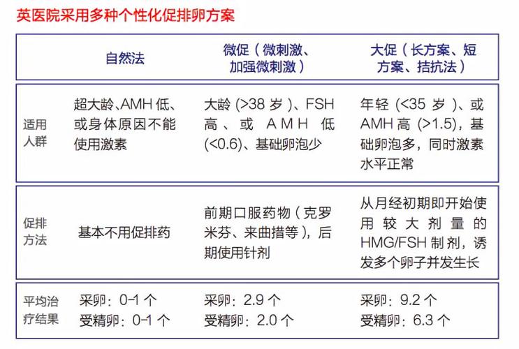 试管婴儿母亲选择指南：如何做出明智决定？