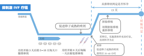 试管婴儿、三胞胎怀孕率、胚胎移植、促排卵方案