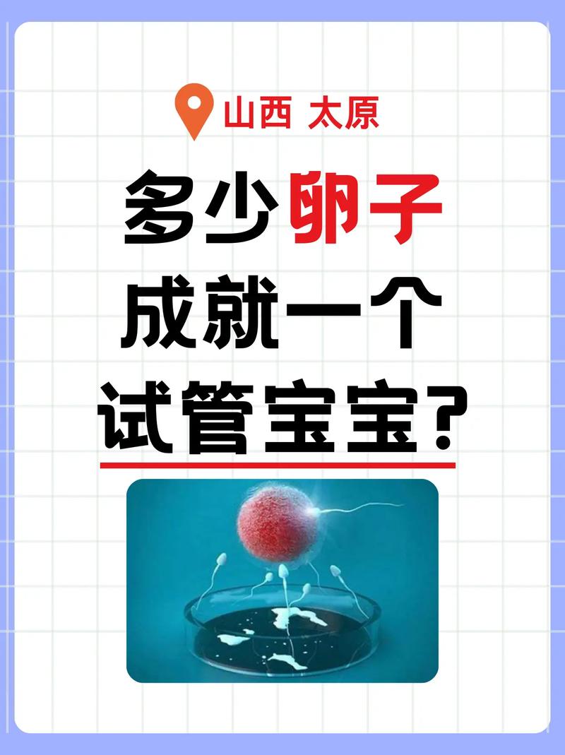 试管婴儿过程中的卵泡数量有多少？