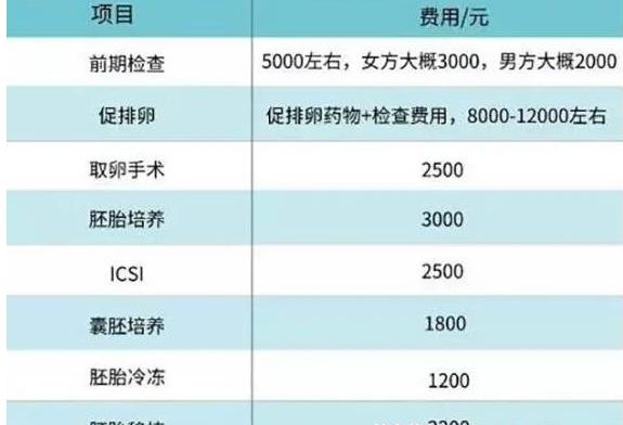 试管婴儿移植费用解析：多少钱才能实现生育梦想？