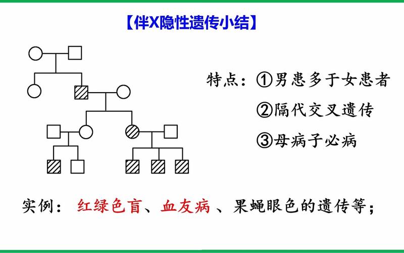 性染色体遗传病