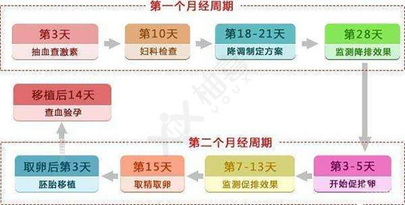 试管婴儿放胚胎后需要等待多久才能确认成功？