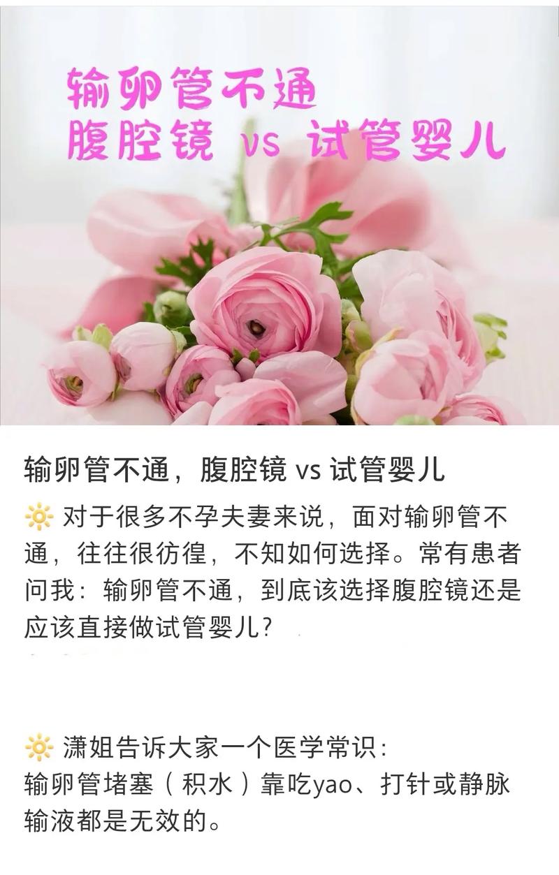 腹腔镜手术与试管婴儿：怎样选择适合你的生育方案？