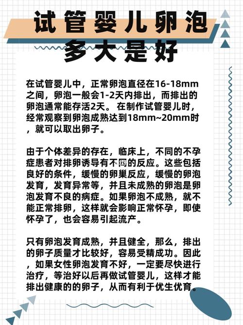 试管婴儿过程中卵泡几天能排出？详细解析！