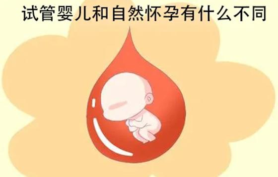 试管婴儿成人后自然怀孕