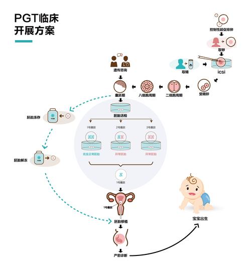 三代试管婴儿方案