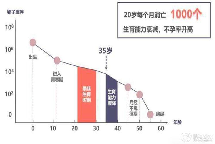 试管婴儿的下一代是否具备生育能力？