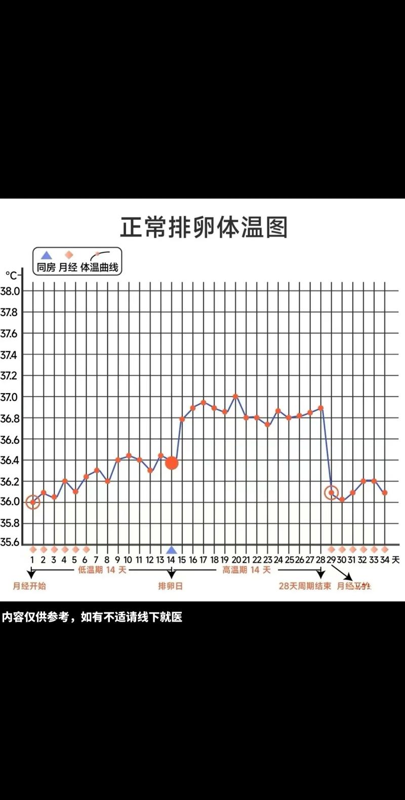 监测排卵