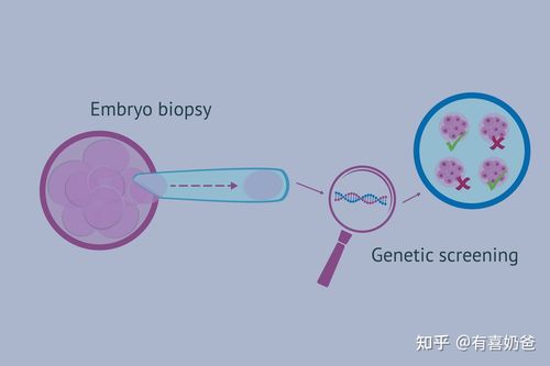 大连地区是否提供三代试管婴儿技术服务？