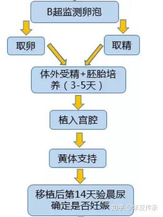 试管婴儿之前需要进行哪些手术准备？