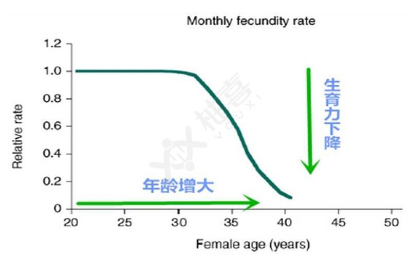 生育力