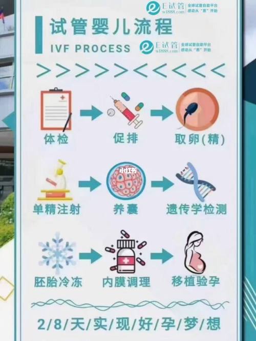 试管婴儿、第二次怀孕、生殖医疗