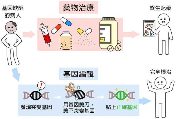 基因缺陷风险