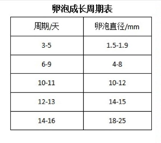 卵泡生长缓慢