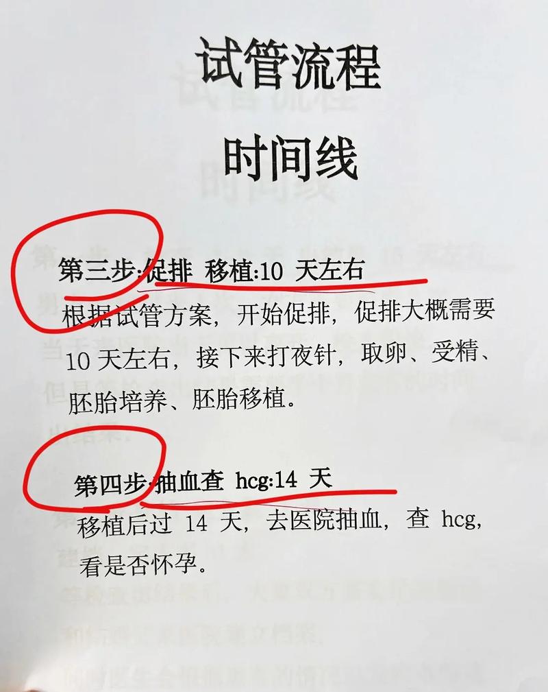 试管婴儿过程中胚胎形成需要多久？揭秘时间线