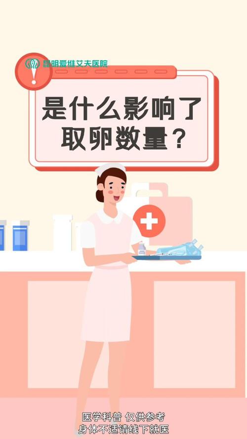 试管婴儿双胞胎概率大揭秘：你知道多少？