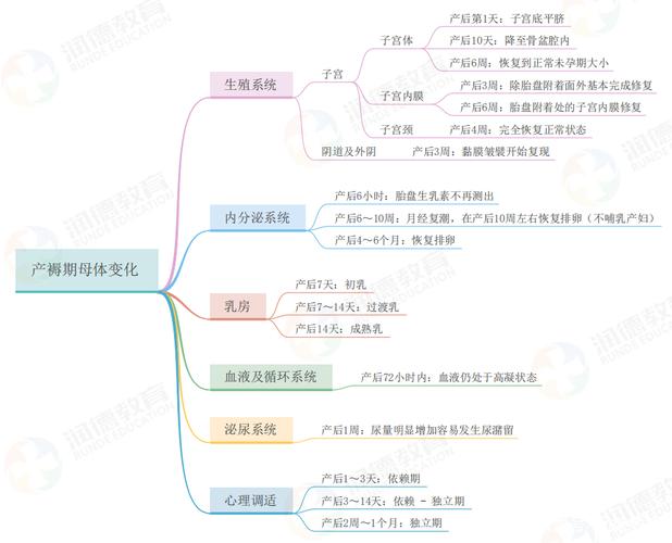 母体状况