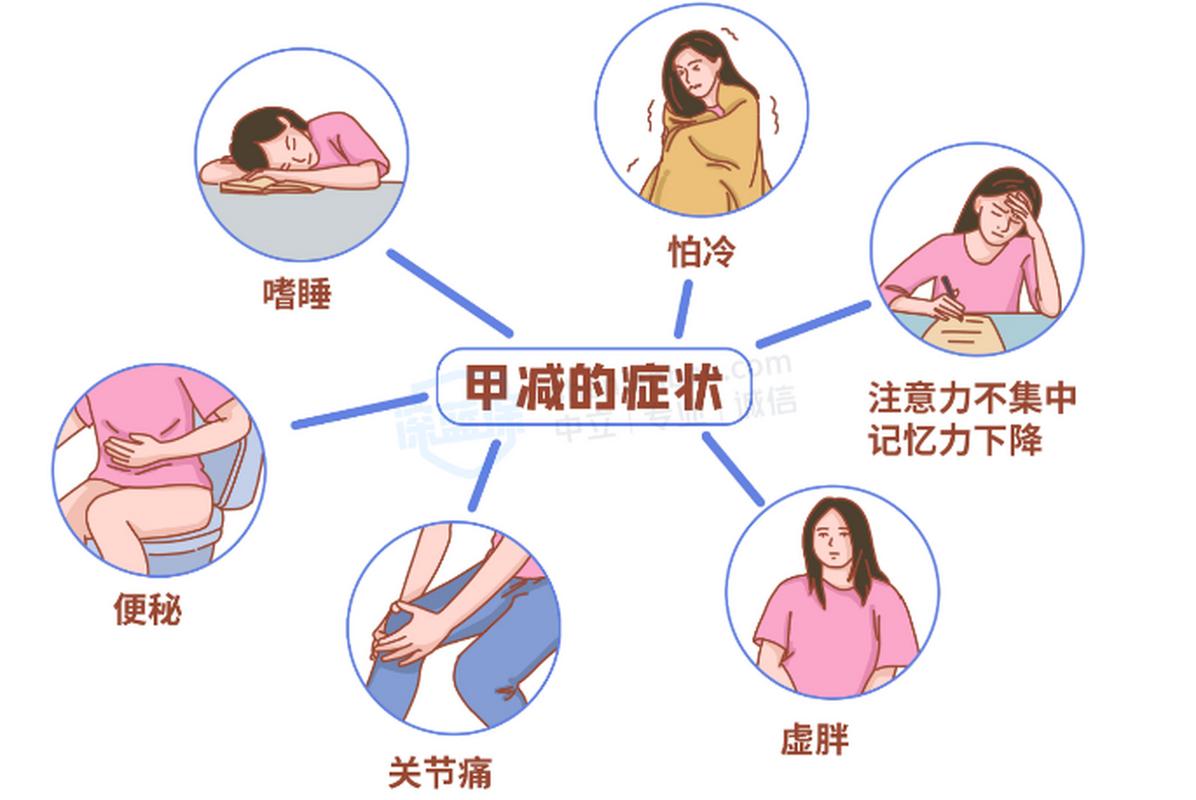 甲减、试管婴儿、着床成功率、医疗