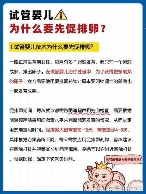 试管婴儿过程中卵泡发育一般需要多长时间？