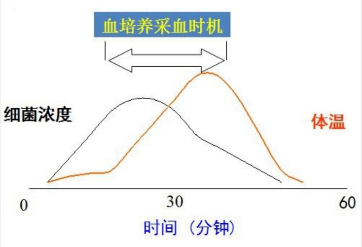 验血时机