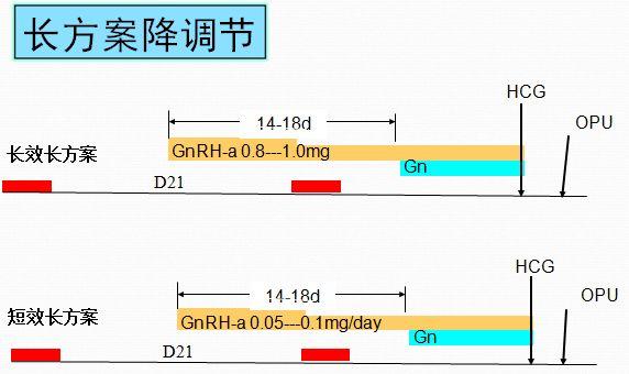 试管婴儿长方案降调