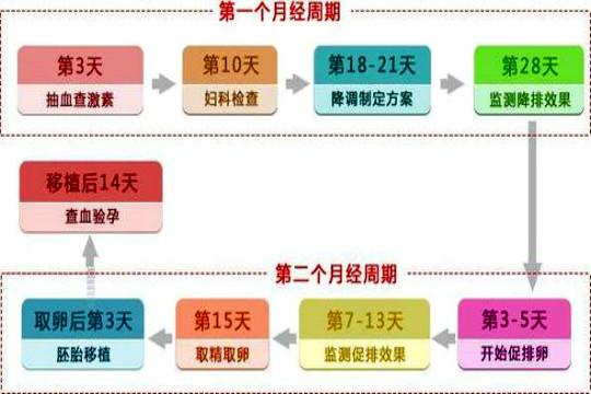 试管婴儿卵泡筛选的整个过程需要多长时间？