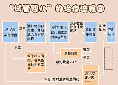 试管婴儿二代治疗过程需多久？全面解析时间安排