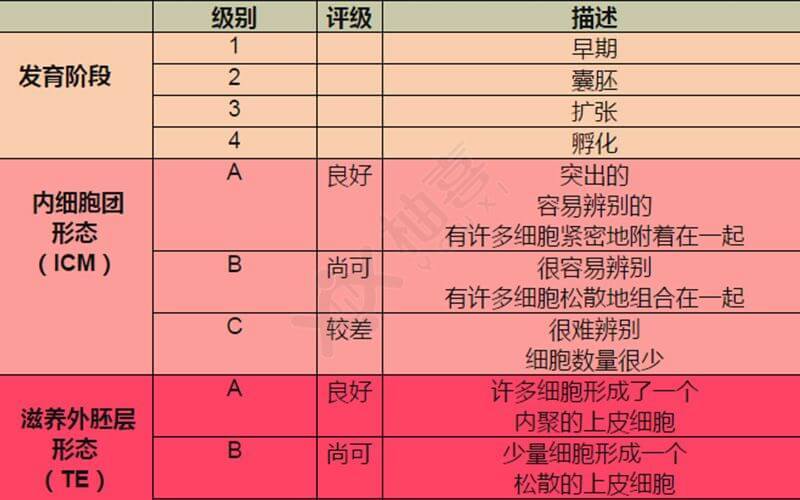 试管婴儿移植成功率究竟有多少？