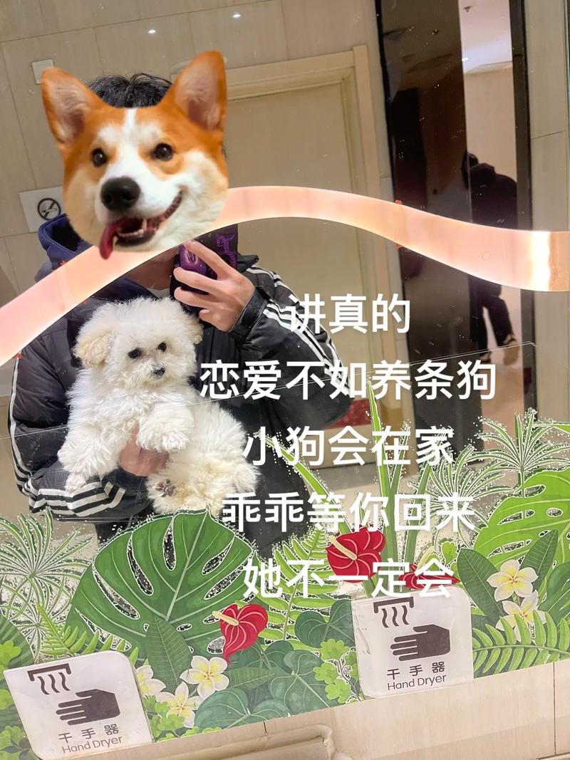 我会等待您发送文案后