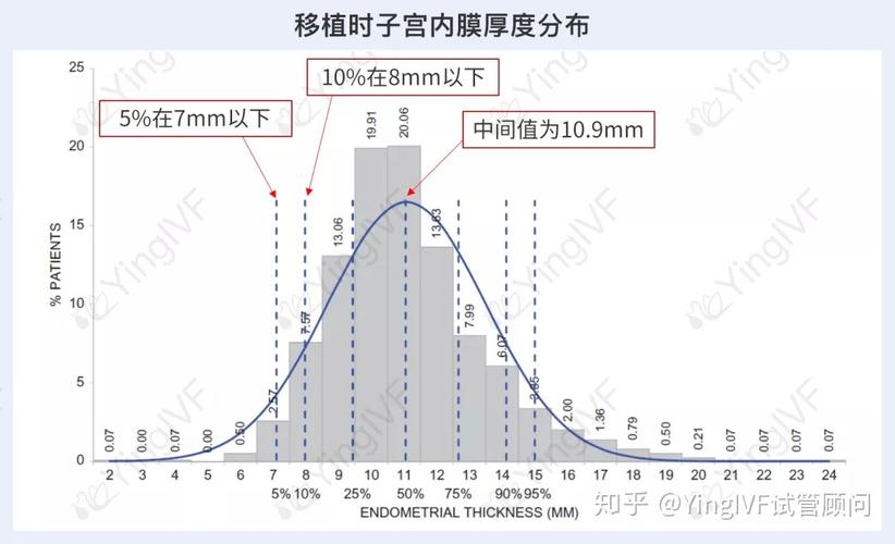 试管婴儿胚胎4BC的成功率究竟有多高？深度解析