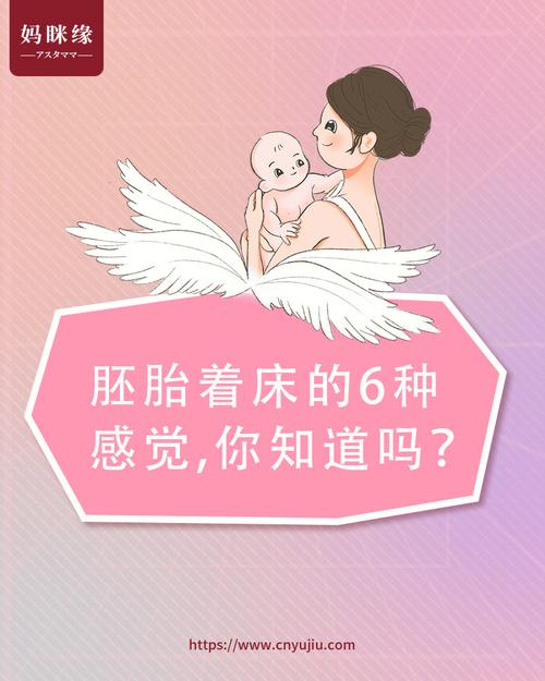 试管婴儿必需着床吗？了解其重要性与影响