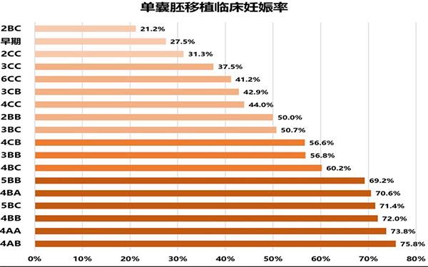  囊胚成功率