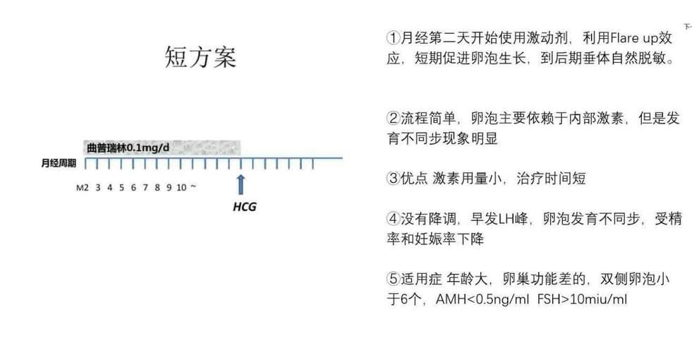  试管短方案