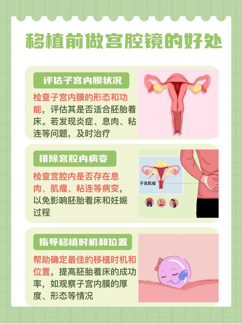 试管婴儿宫腔镜手术的疼痛感如何？深入解析与应对策略