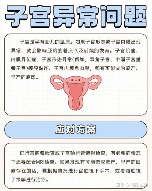 试管婴儿胎停后能否再次怀孕？专家解答与建议