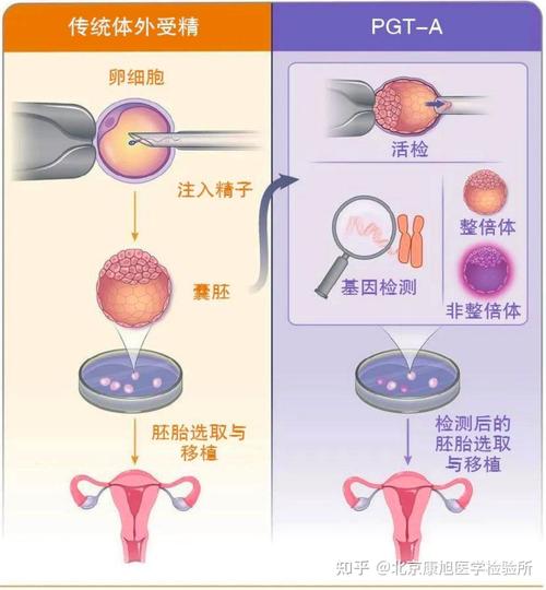 三代试管婴儿、医疗技术、生殖健康