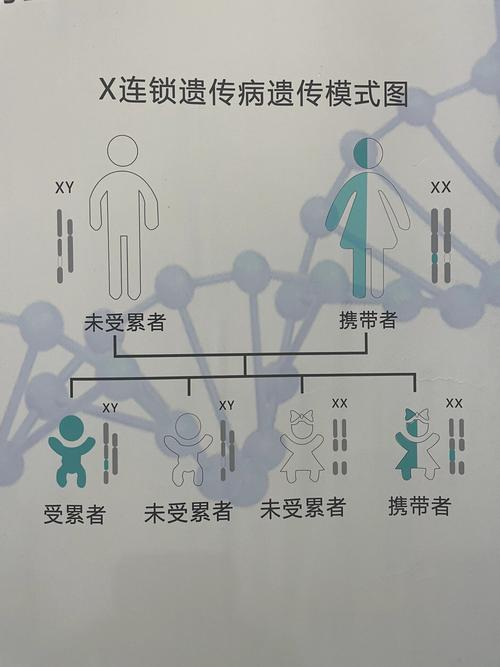 性连锁遗传疾病