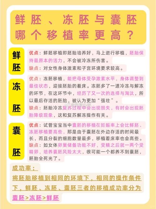 试管婴儿技术如何将冻胚成功移植?